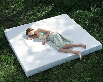 mattress case